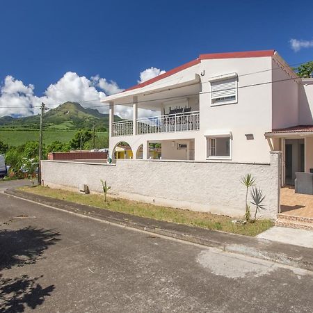 Alpinia - Appt Avec Piscine Partagee Lejlighed Saint-Pierre Eksteriør billede